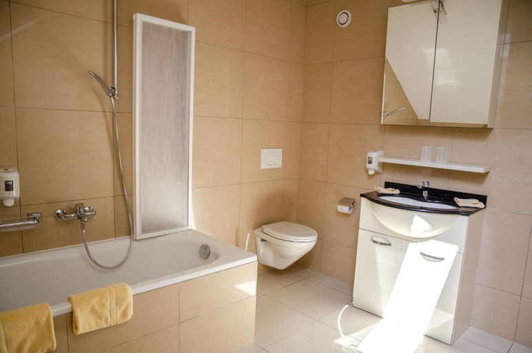 Bathroom 1, Hotel Du Faucon, La Sarine