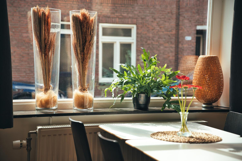 Others 5, B&b De Hofnar Roermond, Roermond