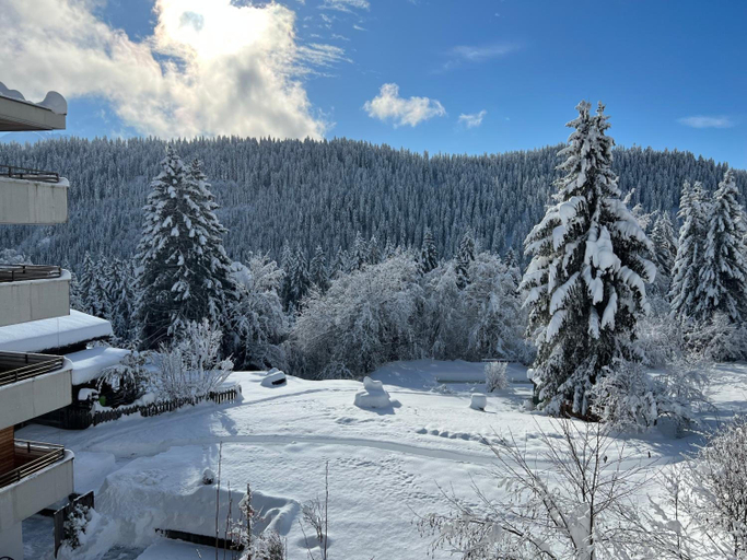 Exterior & Views 2, Hotel Haus Am Waldrand, Imboden
