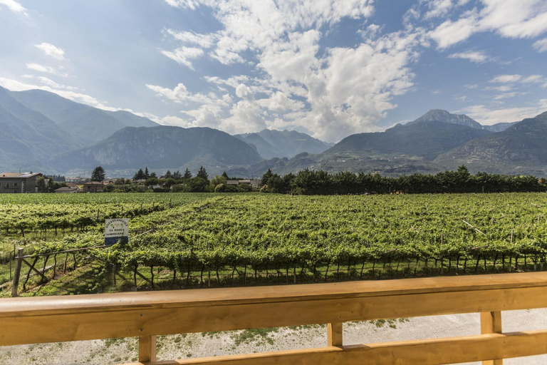 Terrace, Le Servite Apartments, Trento