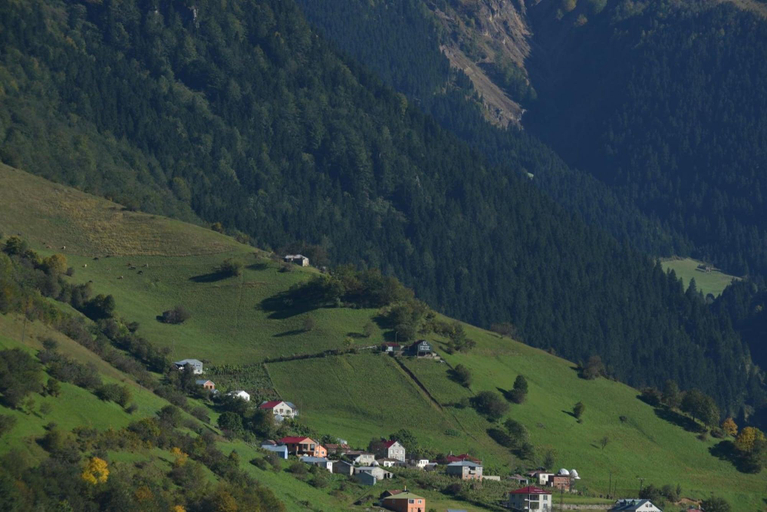 General view