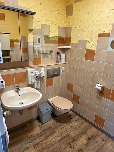 Bathroom 4, Waldgasthaus Am Schwarzenbruch, Birkenfeld