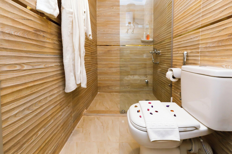 Room 5, Venus Pyramids Inn, Giza