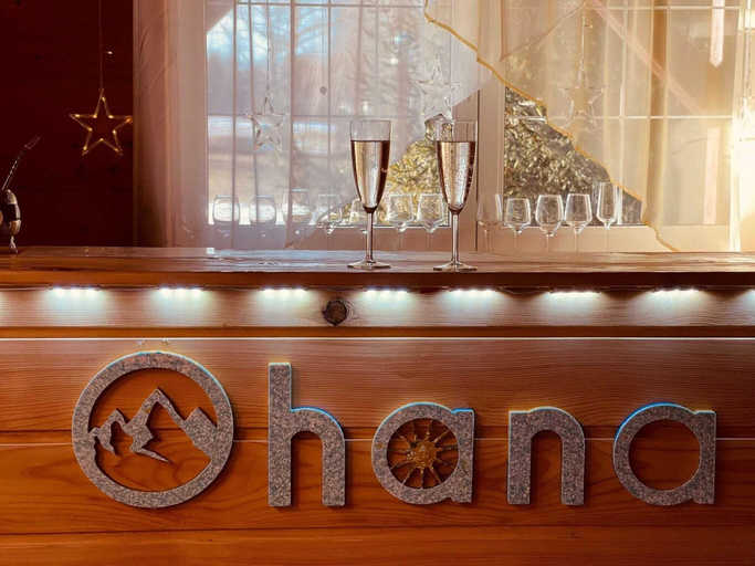 Public Area, Ohana Boutique Hotel, Vistea De Jos