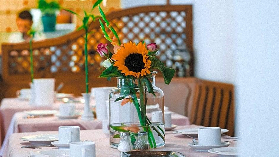 Food & Drinks 5, Hotel Bv Chner Garni, Odenwaldkreis