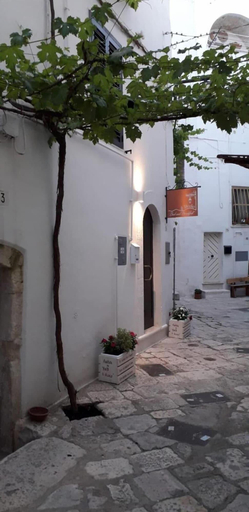 Exterior & Views 2, Il Vicolo B B, Bari