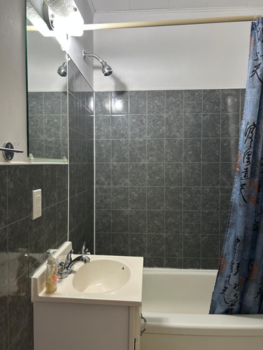 Bathroom 5, Mountain View Motel, Renfrew