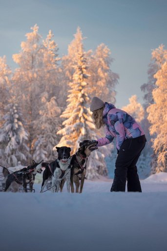 Sports and Entertainment 5, Skyview Igloo Resort, Lapland