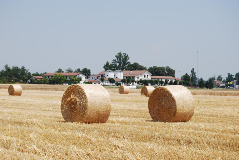 Others 1, Il Carrettino Country Hotel, Alessandria