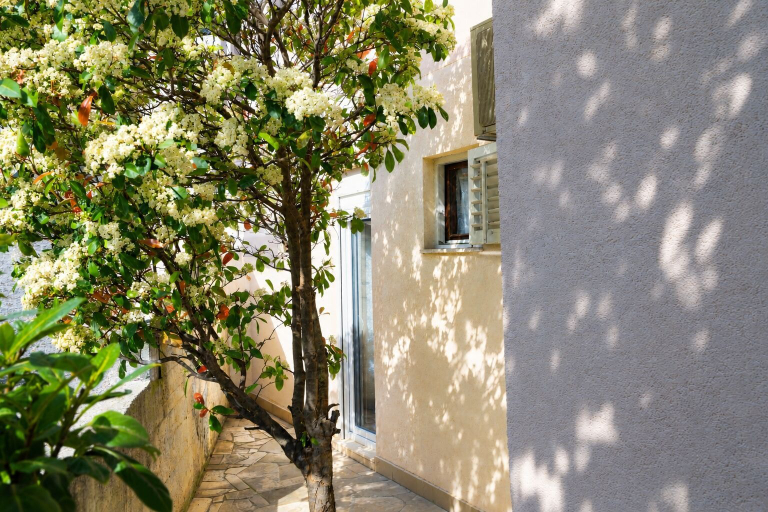 Others 5, Apartment Lile, Omiš