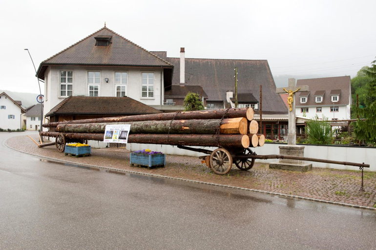 Exterior & Views 2, Landgasthof Ochsen, Laufenburg