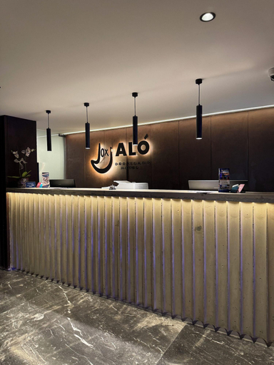 Public Area, Hotel Aló Degollado, Guadalajara