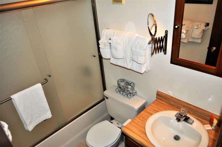 Room 5, Buffalo Ridge 2 Bed Loft, Summit