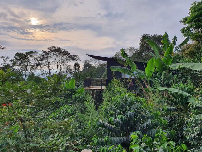 Public Area, Hotel La Palma y El Tucan - Coffee & Nature, Zipacón