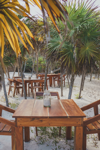Food & Drinks, Astral Tulum, Cozumel