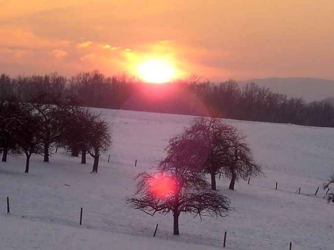 Exterior & Views 4, Landhotel Zur Post, Odenwaldkreis
