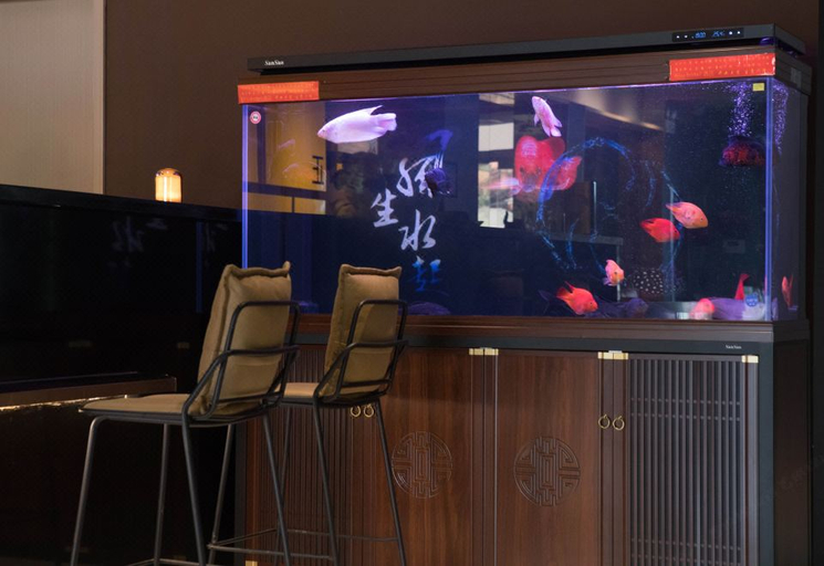 Others 5, IU Hotel (Dongping Zhengwu Dating Dongshun Square), Tai'an