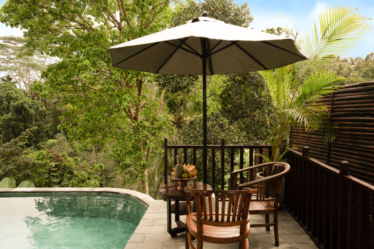 Pool, Leona Valley View Ubud, Gianyar