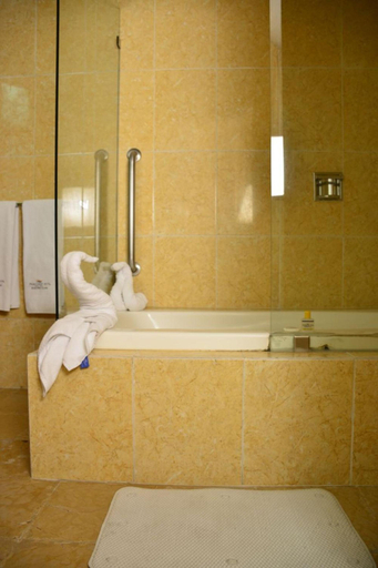Bathroom 5, Hotel Paradise Inn, Chilpancingo de los Bravo