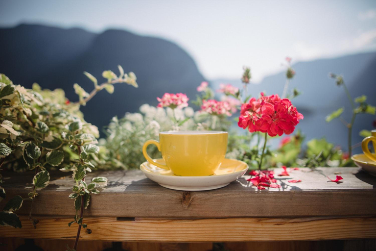 Food & Drinks 4, Gasthof Simony Hallstatt B&b, Gmunden