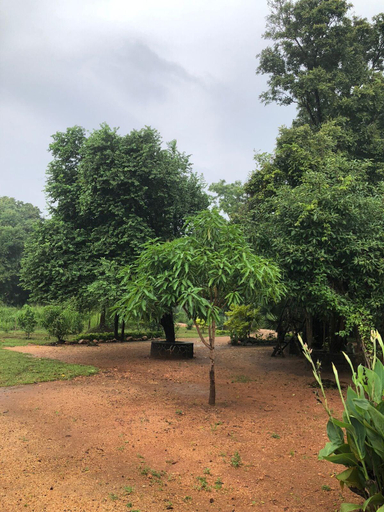 Public Area 3, Tiara Elephant Lodge, Palugaswewa