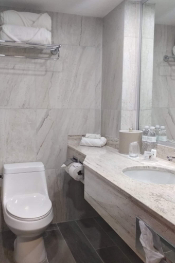 Bathroom, Gamma Tampico, Altamira