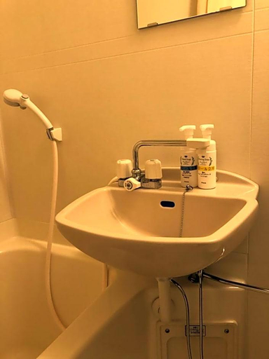 Bathroom 3, Hotel Plaisir Tachikawa, Tachikawa
