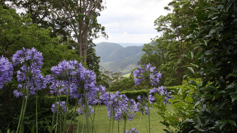 General view 2, Mapleton Falls Accommodation, Maroochy