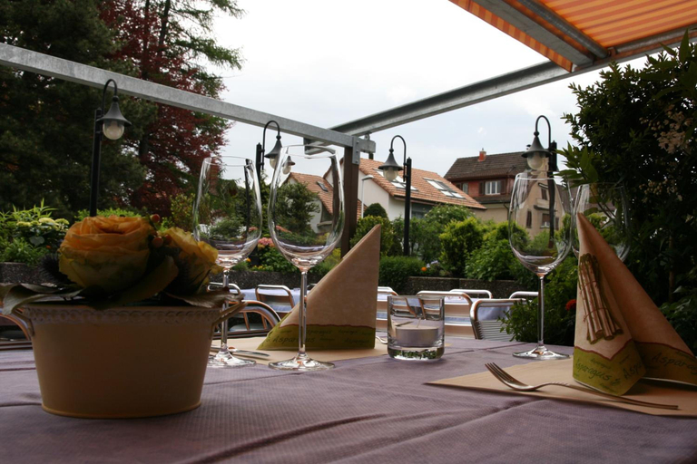 General view 5, Hotel Glv Rnisch Hof, Horgen