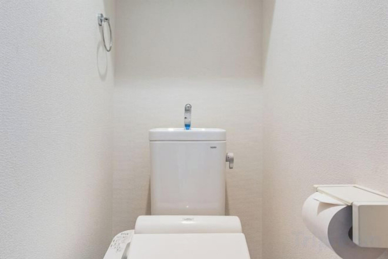 Bathroom 4, Crown Etchūjima, Kōtō