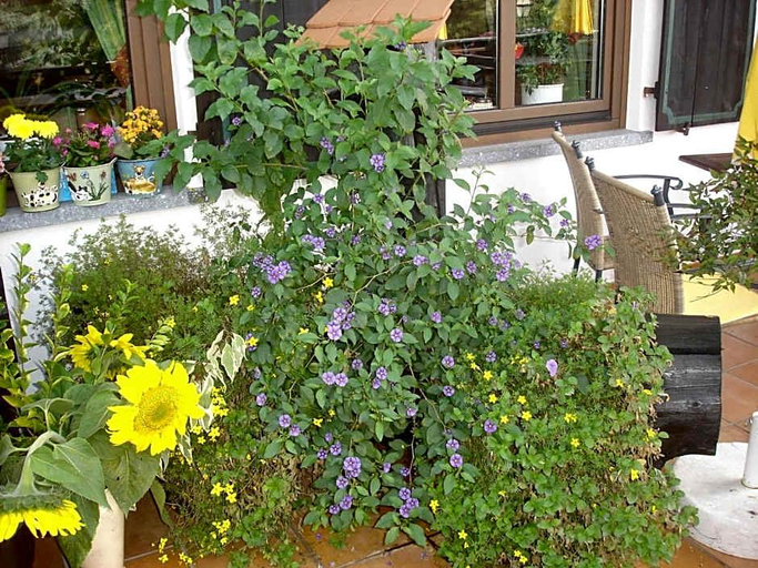 Exterior & Views 5, Landhotel Zur Post, Odenwaldkreis