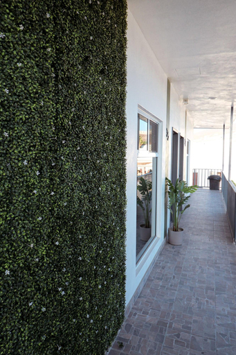 Others 5, HOTEL LA QUINTA BONITA, Ensenada