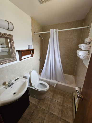 Bathroom 5, Forest Plaza Motel, Wellington