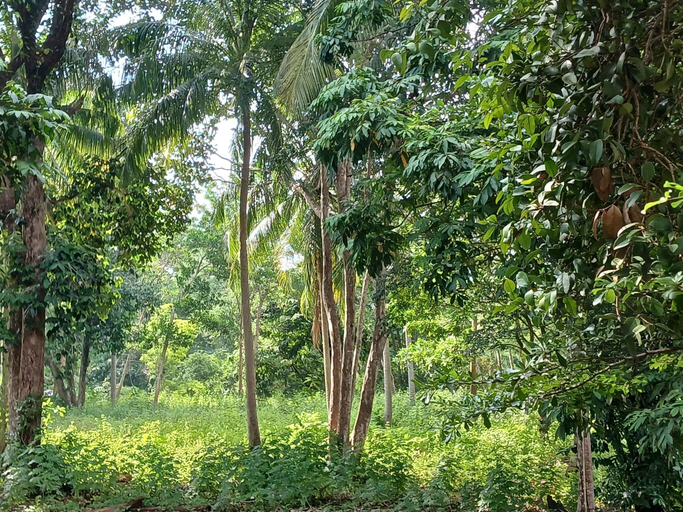 General view 2, Baan Long Beach, Ko Lanta
