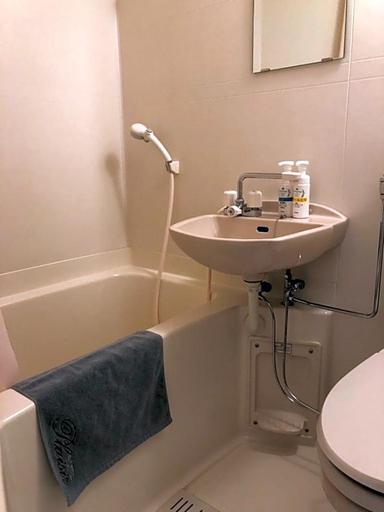 Bathroom 5, Hotel Plaisir Tachikawa, Tachikawa