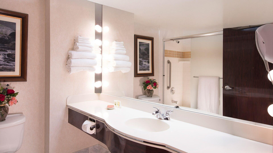Bathroom, Rainbow Hotel Casino by Peppermill Resorts, Elko