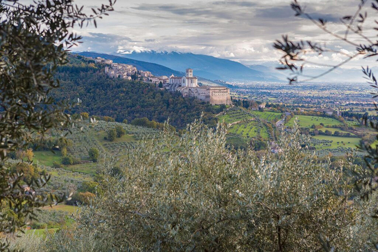 General view 4, C' Era Una Volta, Perugia