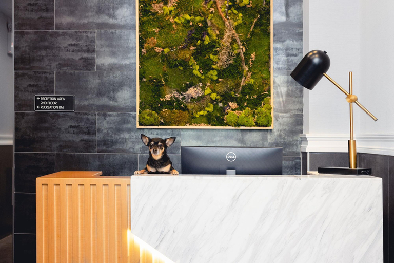 Public Area 3, The Modernist Hotel, New York