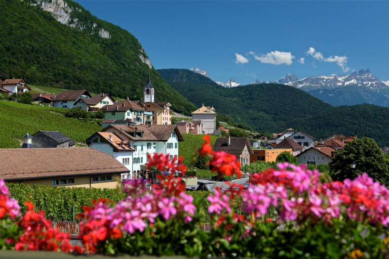 General view 1, Auberge Communale De La Couronne, Aigle