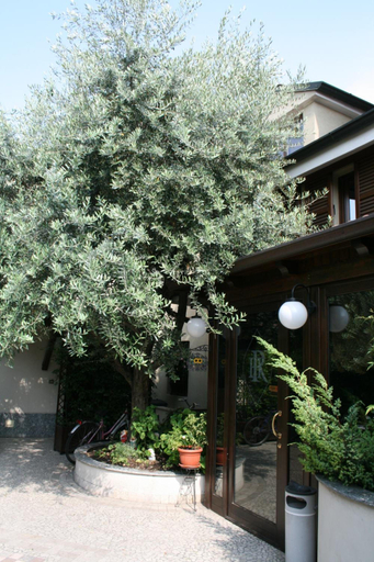 Exterior & Views 2, Hotel Rocco, Milano