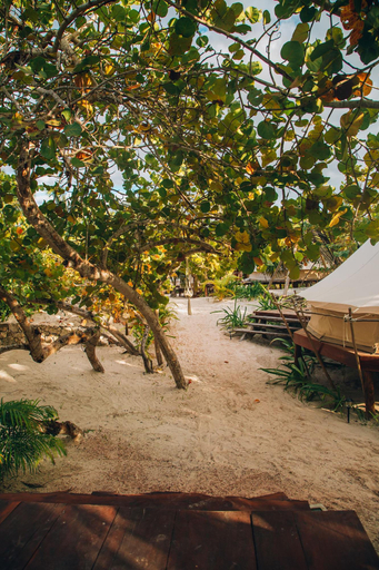 Exterior & Views 1, Glamp Ikal Tulum, Cozumel