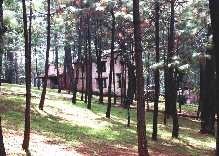 General view