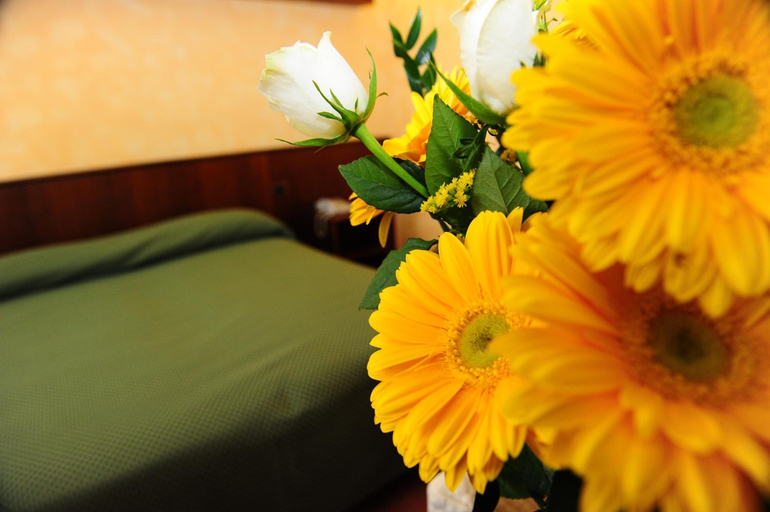 Bedroom 3, Il Carrettino Country Hotel, Alessandria