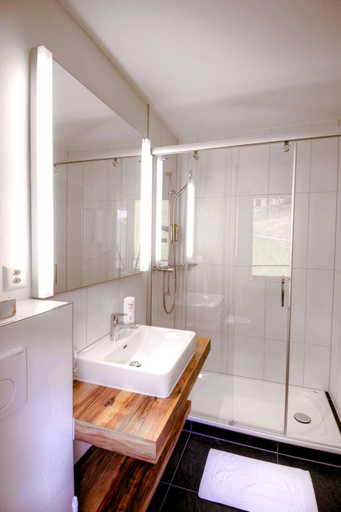 Bathroom 3, Hotel Restaurant Alpina, Interlaken