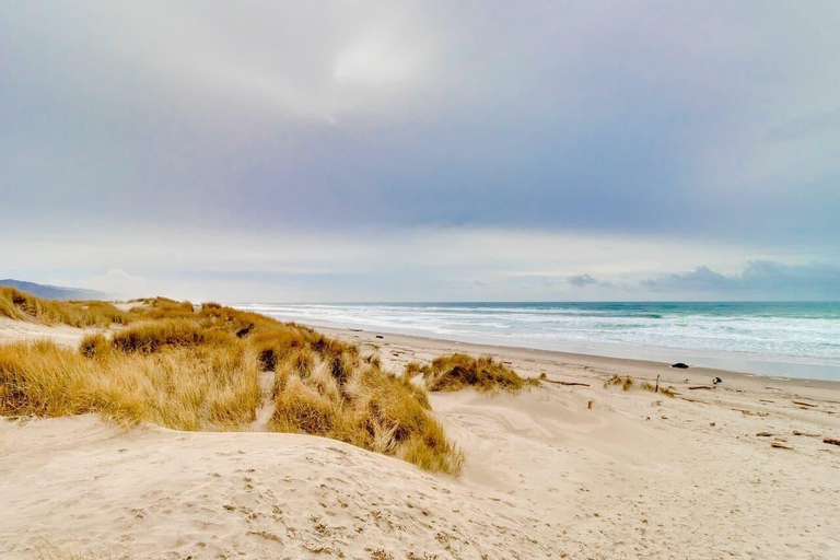 Others 5, San Dune Inn, Tillamook