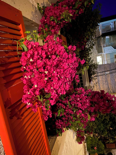 Exterior & Views 2, Bademici Otel, Çeşme
