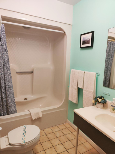 Bathroom 3, Motel Le Radisson De Val-david, Les Laurentides