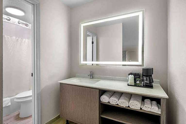 Bathroom 2, Royale Inn, Polk