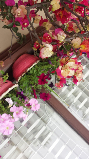 Others 4, Dipankara Holiday Home Boudha, Bagmati