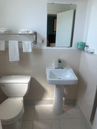 Bathroom 4, Tropical Palm Motel, Lee